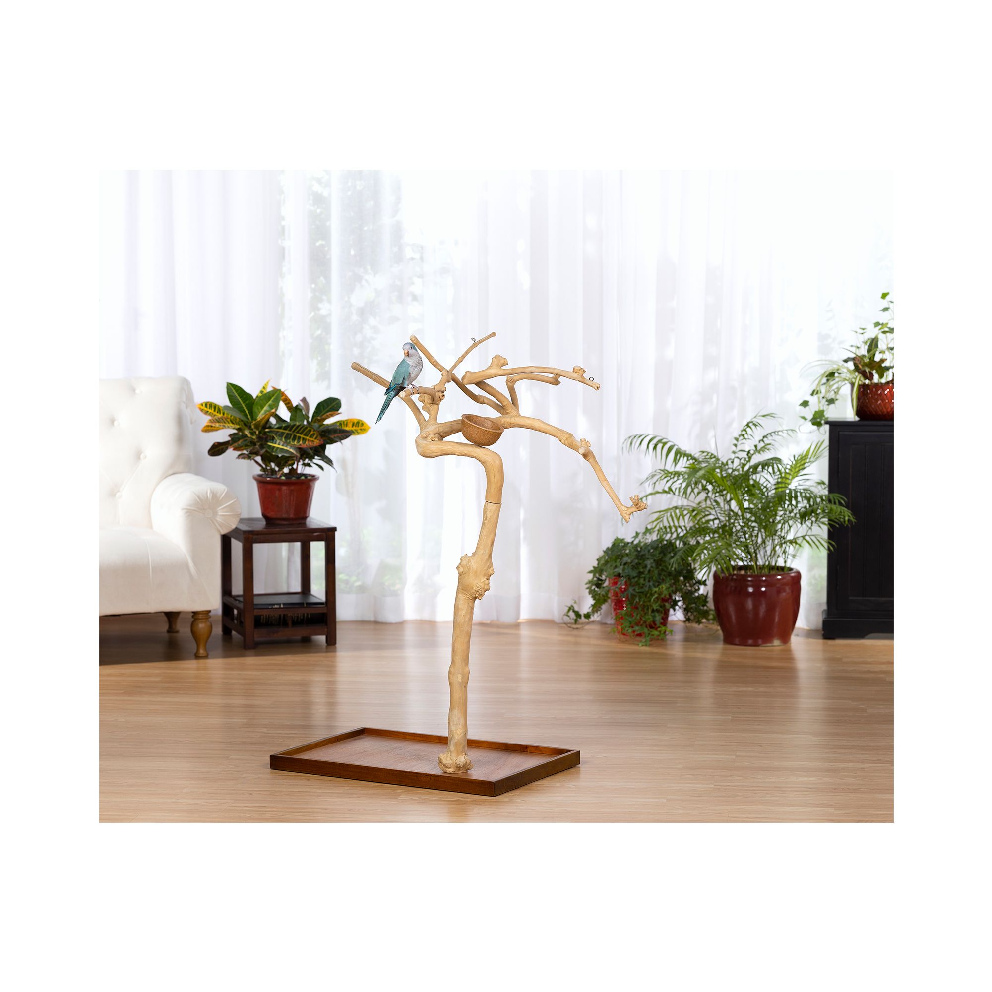 Prevue Pet Products Coffeawood Java Tree Extra-Small Floor Playstand - Pet Bird Playstand - thumbnail 5