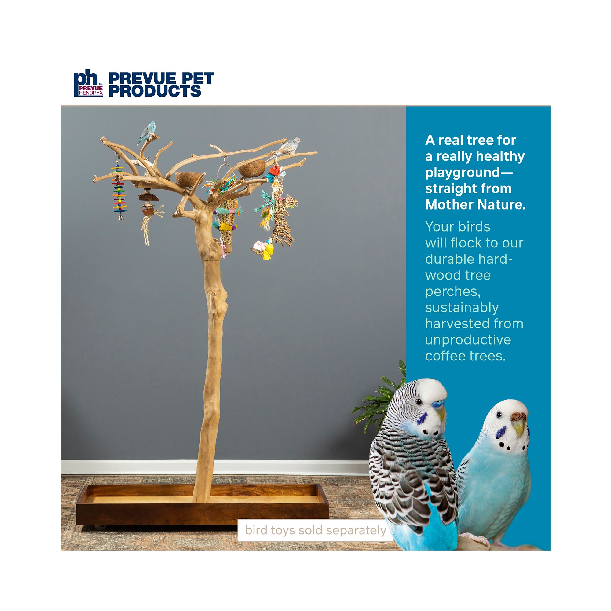 Prevue Pet Products Coffeawood Java Tree Small Floor Playstand - Floor Pet Bird Playstand - thumbnail 2