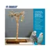 Prevue Pet Products Coffeawood Java Tree Small Floor Playstand image thumbnail 2