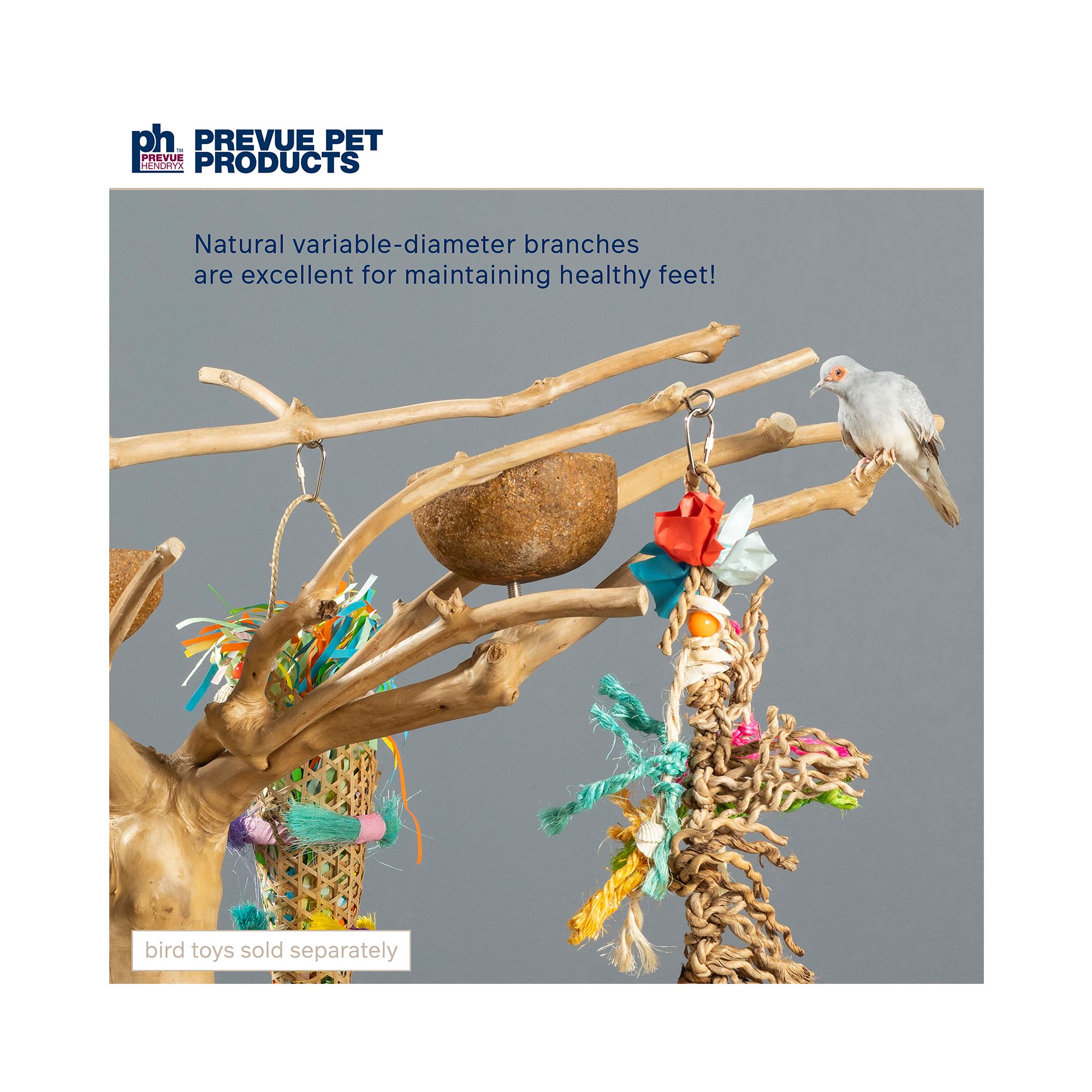 Prevue Pet Products Coffeawood Java Tree Small Floor Playstand - Floor Pet Bird Playstand - thumbnail 4