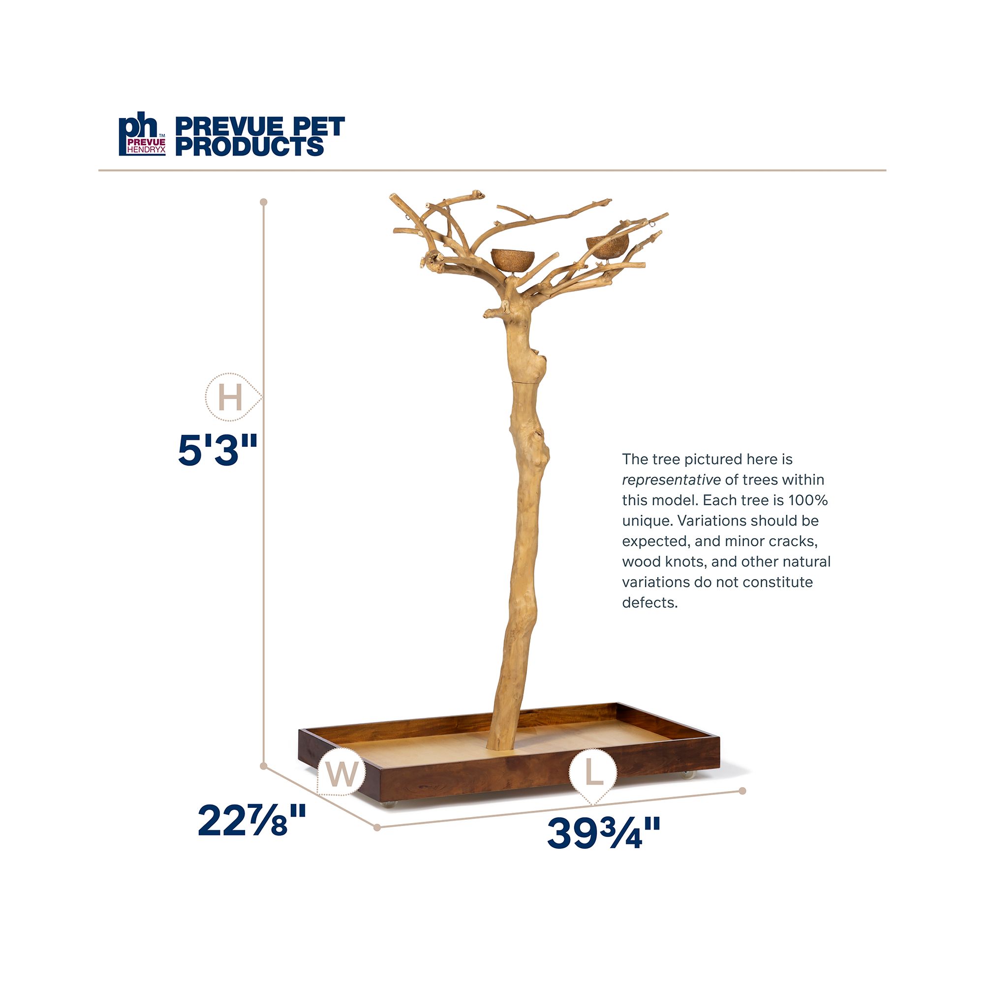 Prevue Pet Products Coffeawood Java Tree Small Floor Playstand - Floor Pet Bird Playstand - thumbnail 5