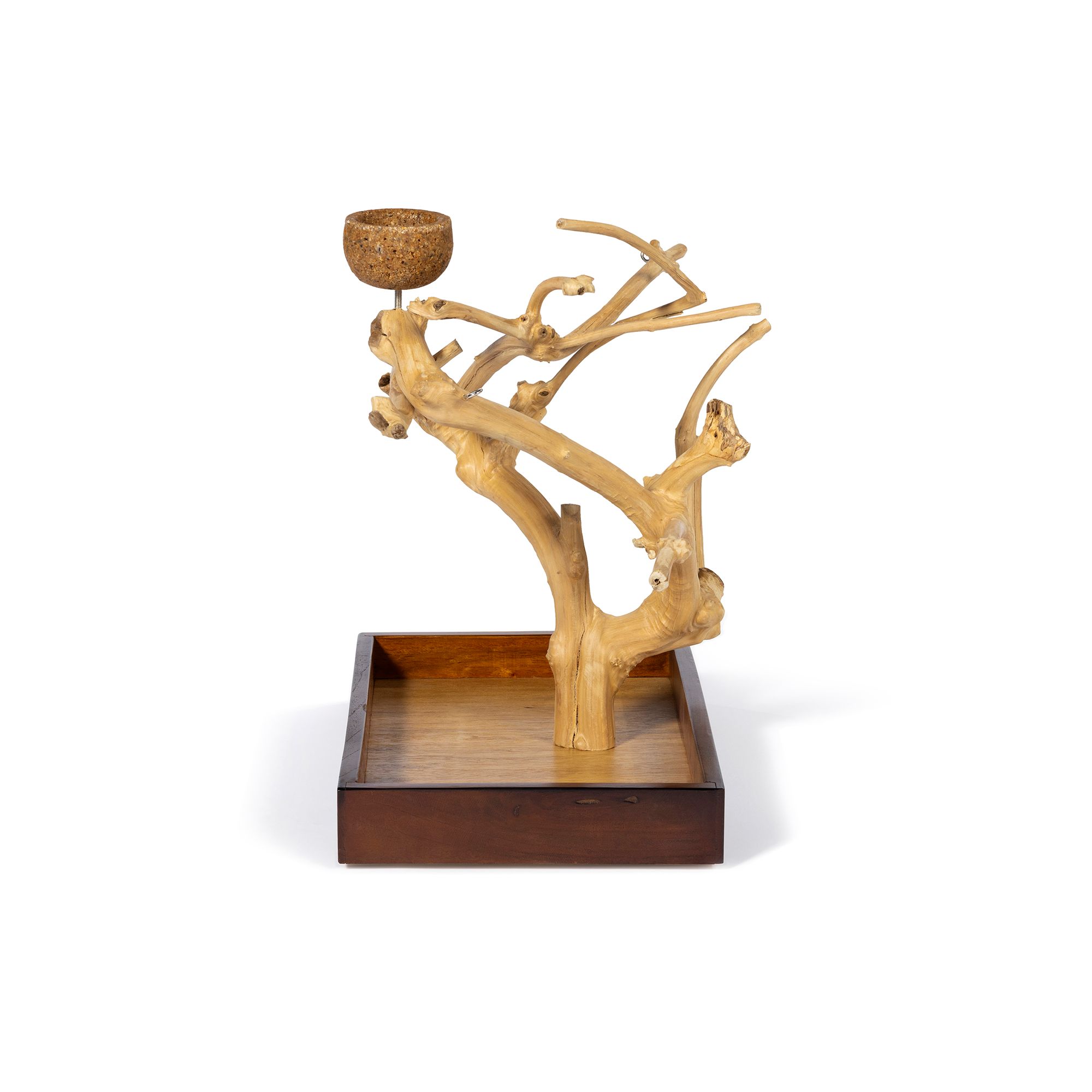 Prevue Pet Products Coffeawood Java Tree Minis Small Table Top Playstand for Pet Birds - thumbnail 3