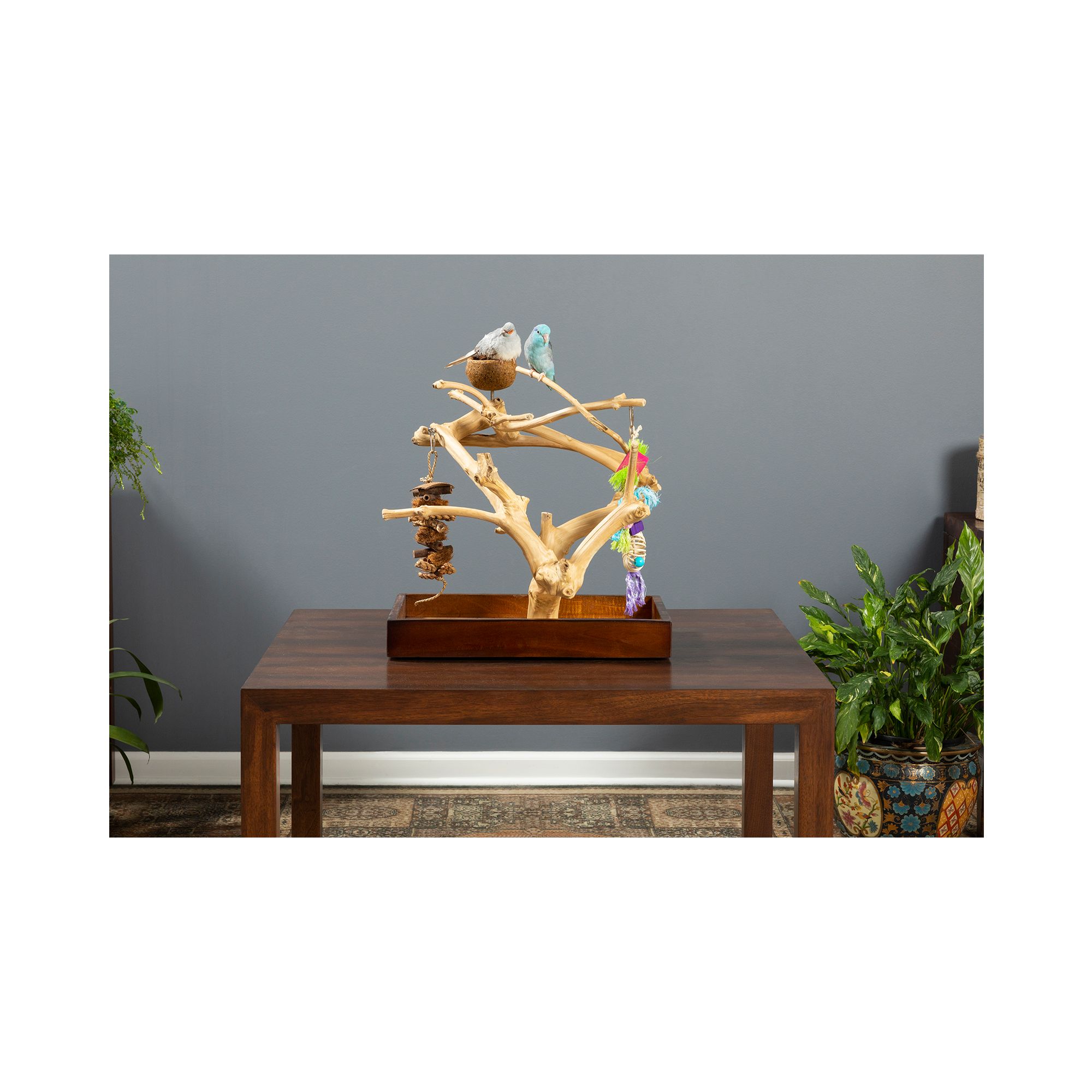 Prevue Pet Products Coffeawood Java Tree Minis Small Table Top Playstand for Pet Birds - thumbnail 4