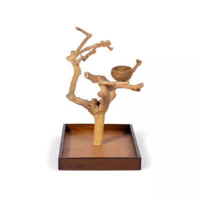 Product Prevue Pet Products Coffeawood Java Tree Minis Medium Table Top Playstand