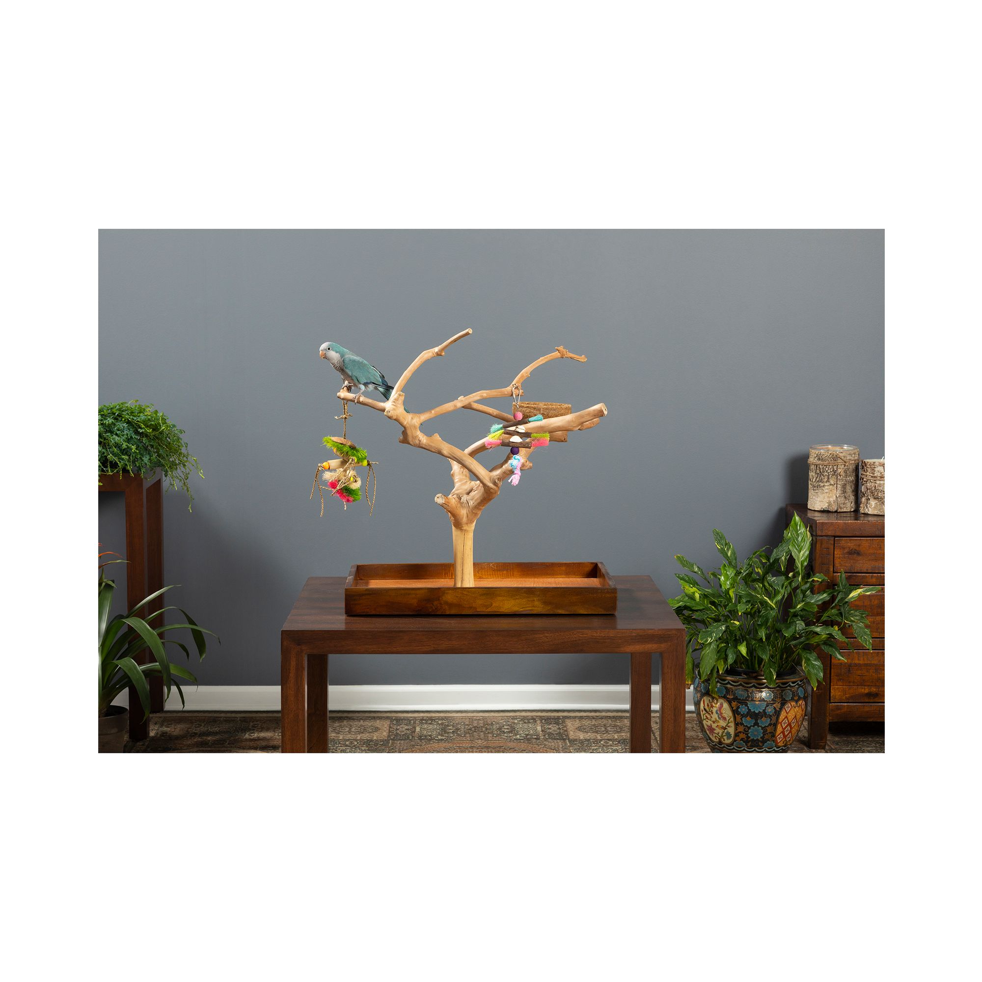Prevue Pet Products Coffeawood Java Tree Minis Medium Table Top Playstand for Pet Birds - thumbnail 4