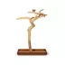 Prevue Pet Products Coffeawood Java Tree Large Floor Playstand image thumbnail 1