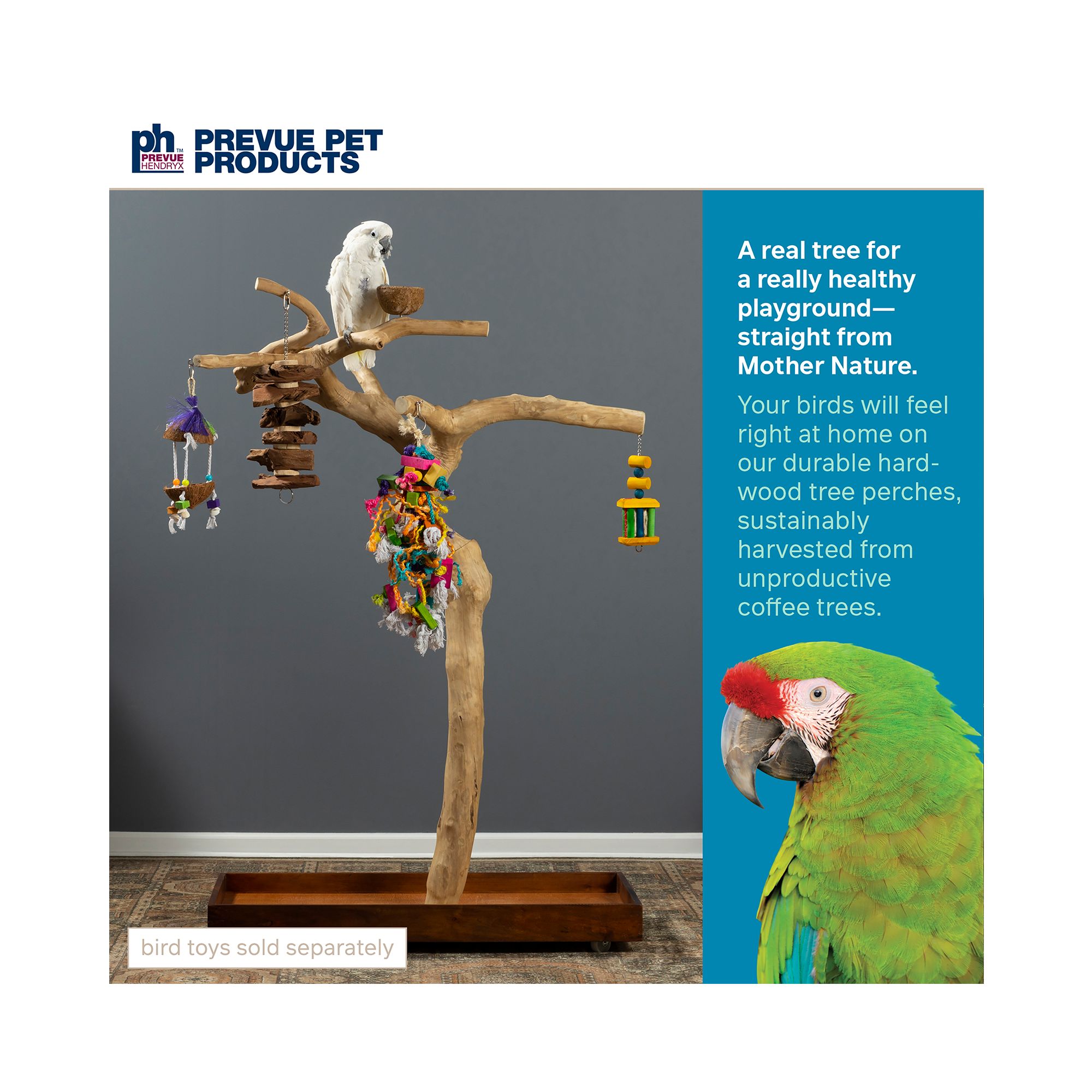 Prevue Pet Products Coffeawood Java Tree Large Floor Playstand - Floor Pet Bird Playstand - thumbnail 2