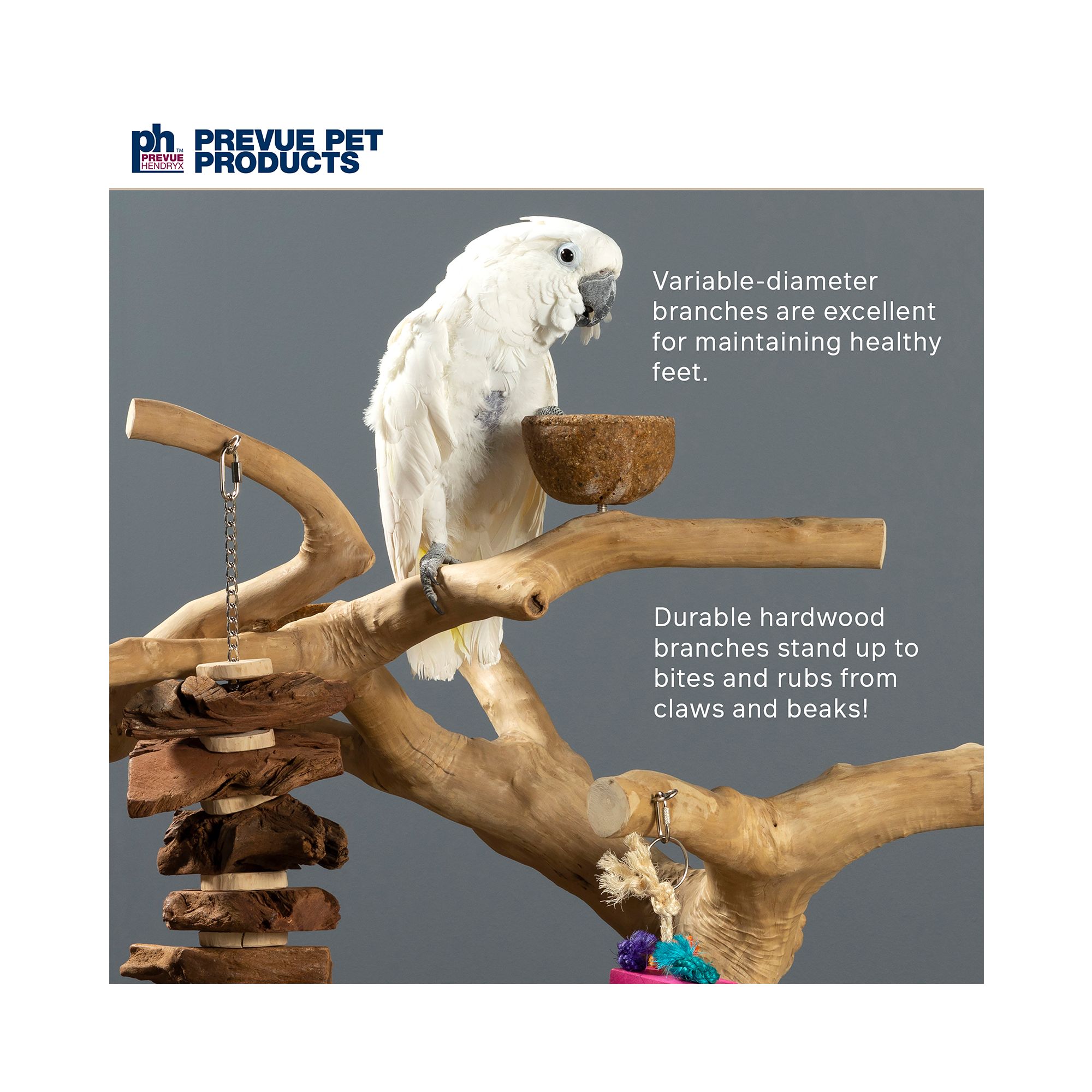 Prevue Pet Products Coffeawood Java Tree Large Floor Playstand - Floor Pet Bird Playstand - thumbnail 4