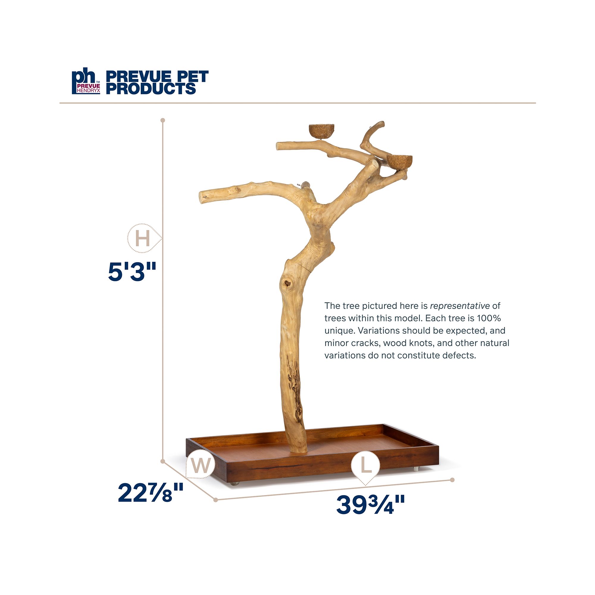 Prevue Pet Products Coffeawood Java Tree Large Floor Playstand - Floor Pet Bird Playstand - thumbnail 5