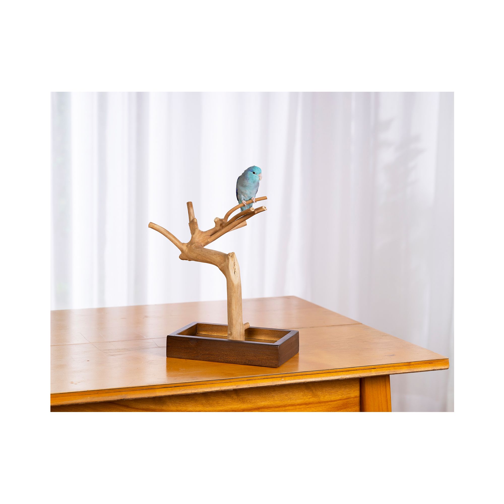 Prevue Pet Products Coffeawood Java Tree Minis X-Small Table Top Playstand for Pet Birds - thumbnail 2