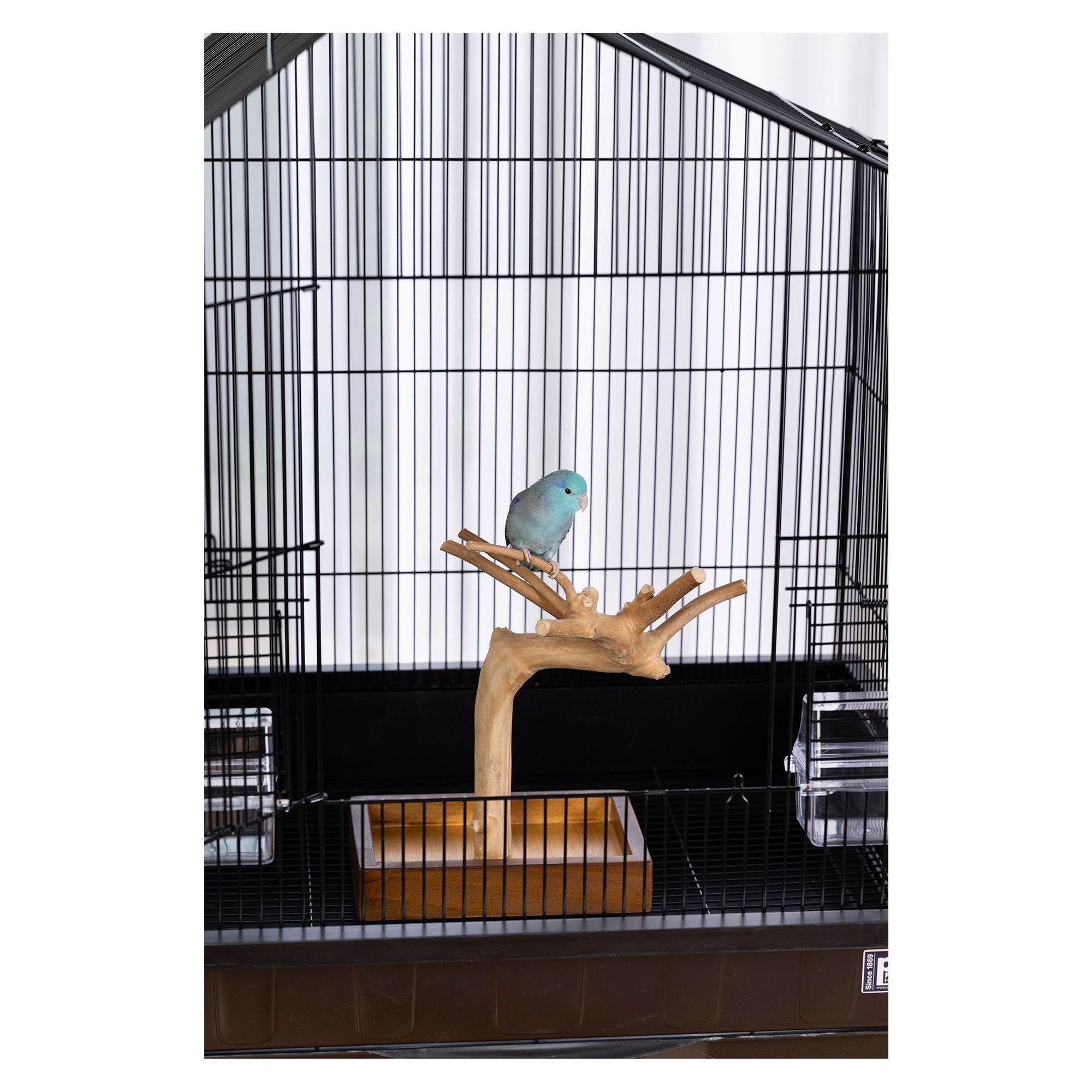 Prevue Pet Products Coffeawood Java Tree Minis X-Small Table Top Playstand for Pet Birds - thumbnail 3