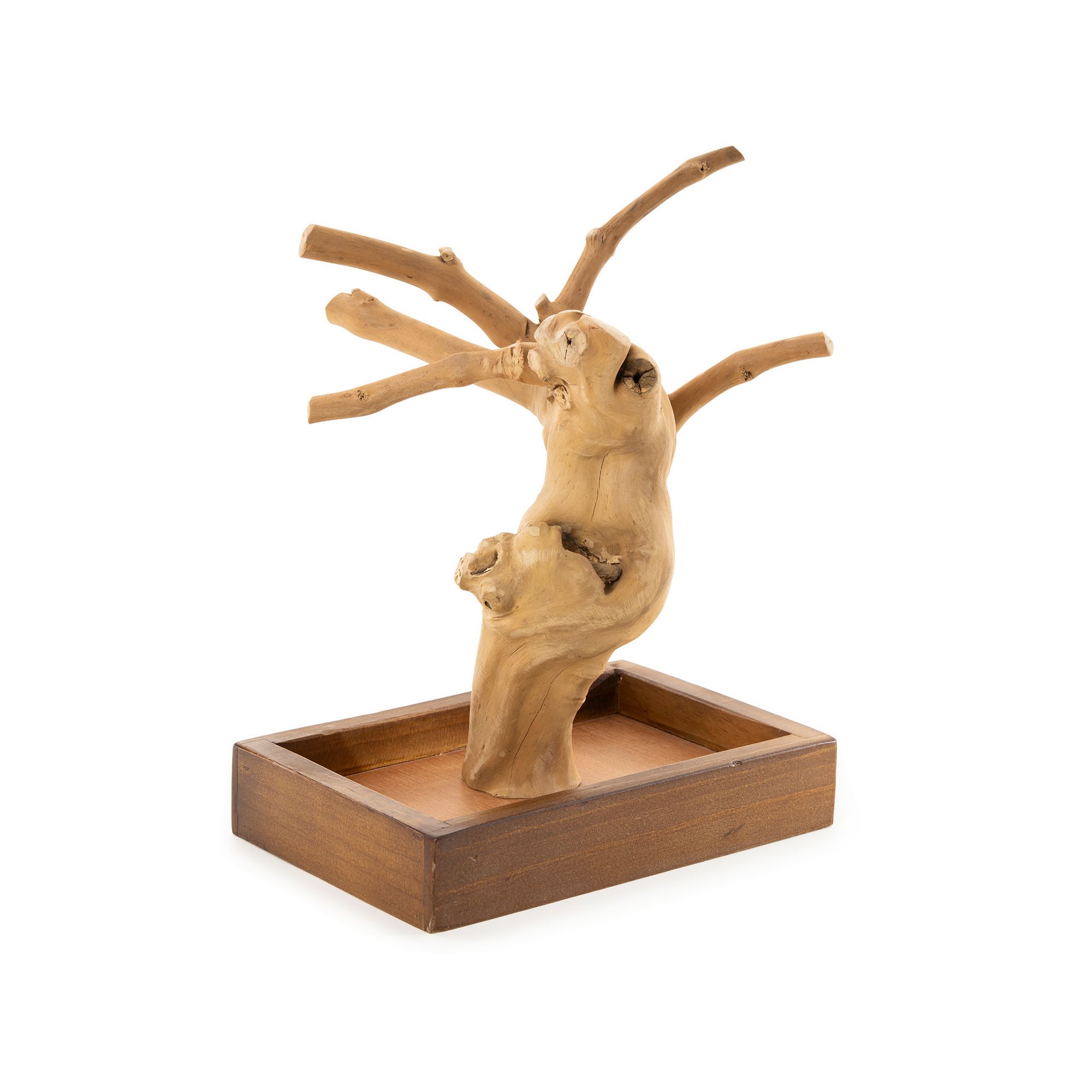 Prevue Pet Products Coffeawood Java Tree Minis X-Small Table Top Playstand for Pet Birds - thumbnail 4