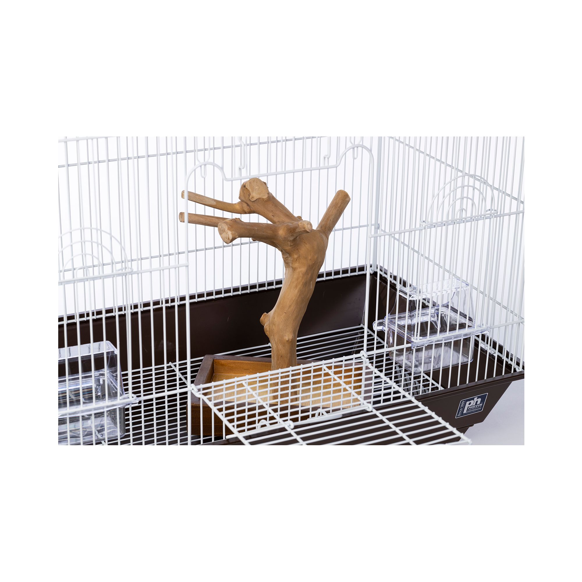 Prevue Pet Products Coffeawood Java Tree Minis X-Small Table Top Playstand for Pet Birds - thumbnail 5