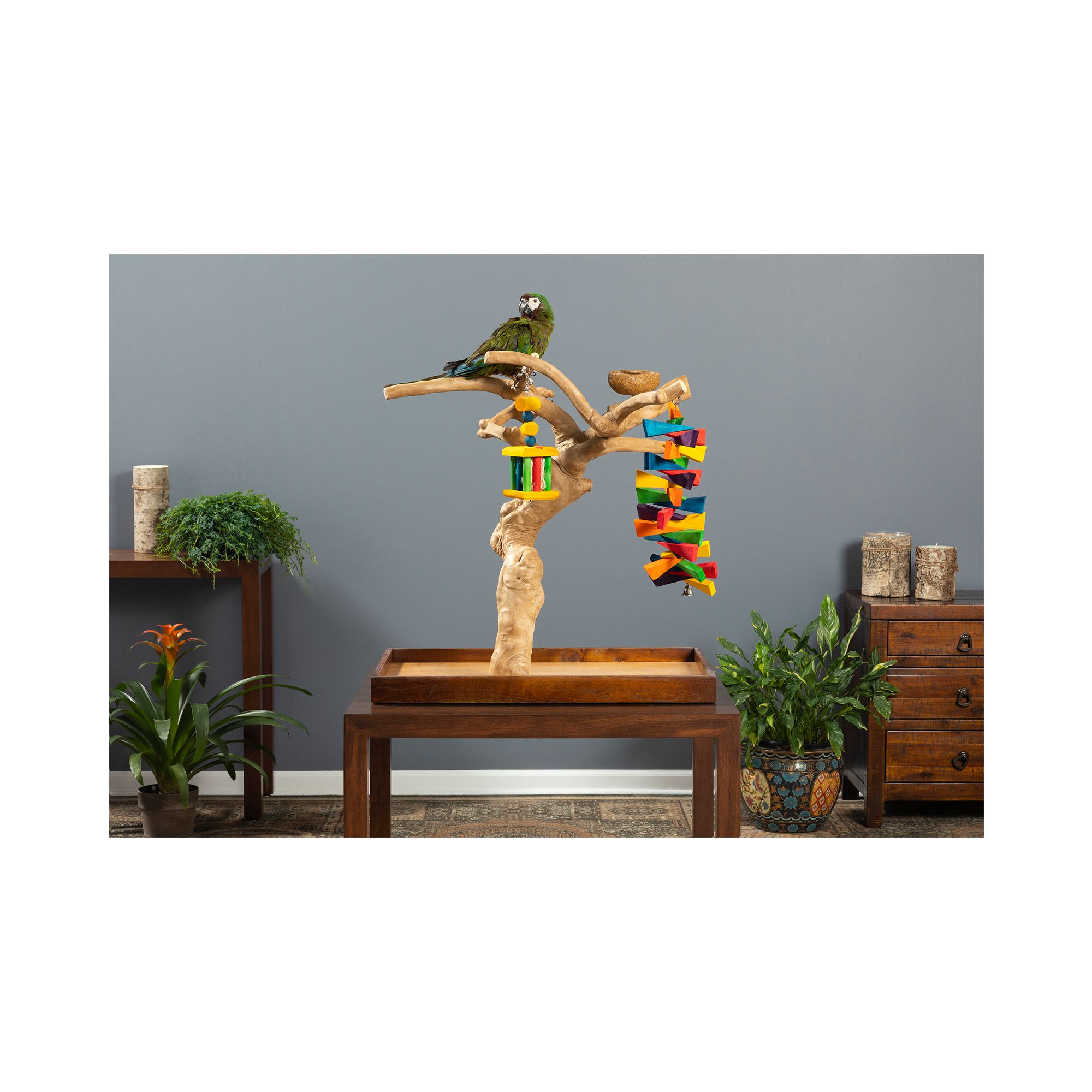 Prevue Pet Products Coffeawood Java Tree Minis Large Table Top Playstand for Pet Birds - thumbnail 2