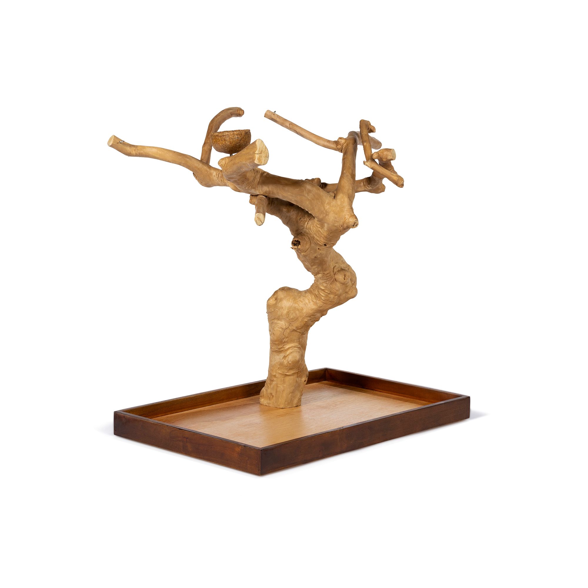 Prevue Pet Products Coffeawood Java Tree Minis Large Table Top Playstand for Pet Birds - thumbnail 3