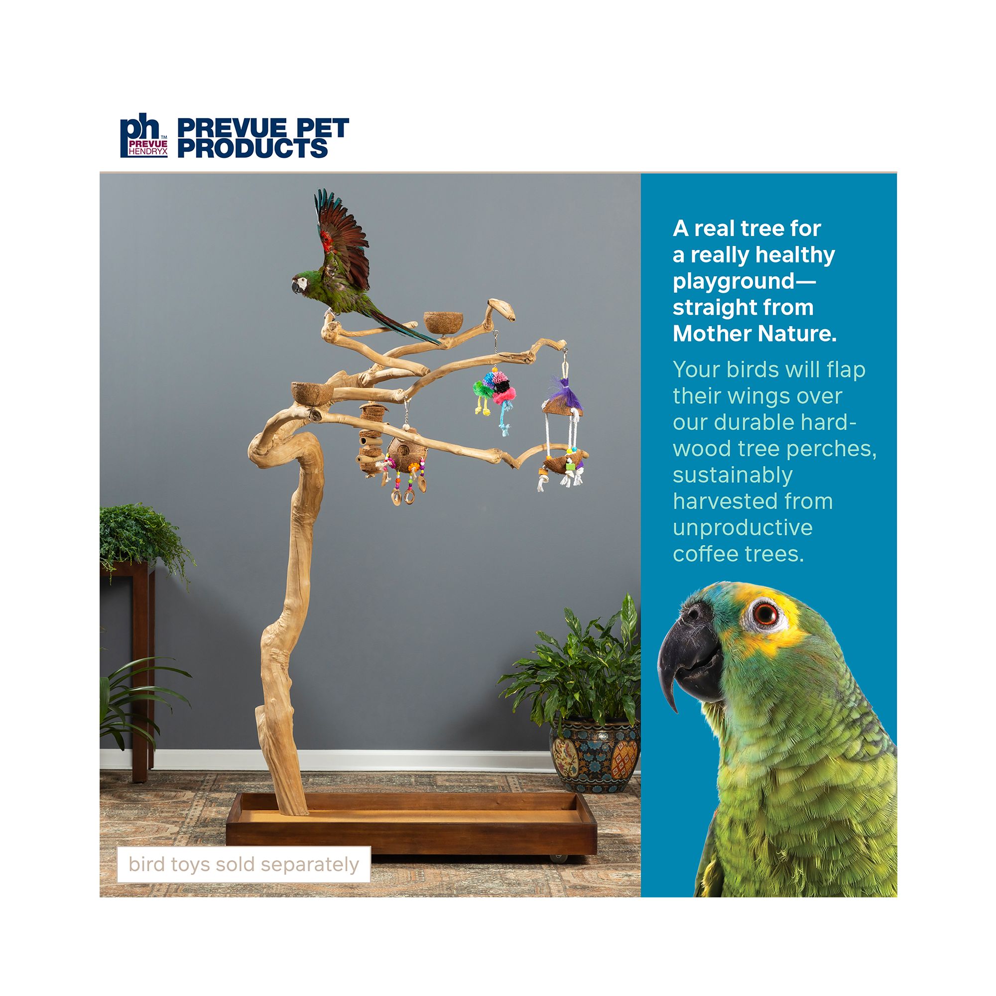 Prevue Pet Products Coffeawood Java Tree Medium Floor Playstand - Floor Pet Bird Playstand - thumbnail 2