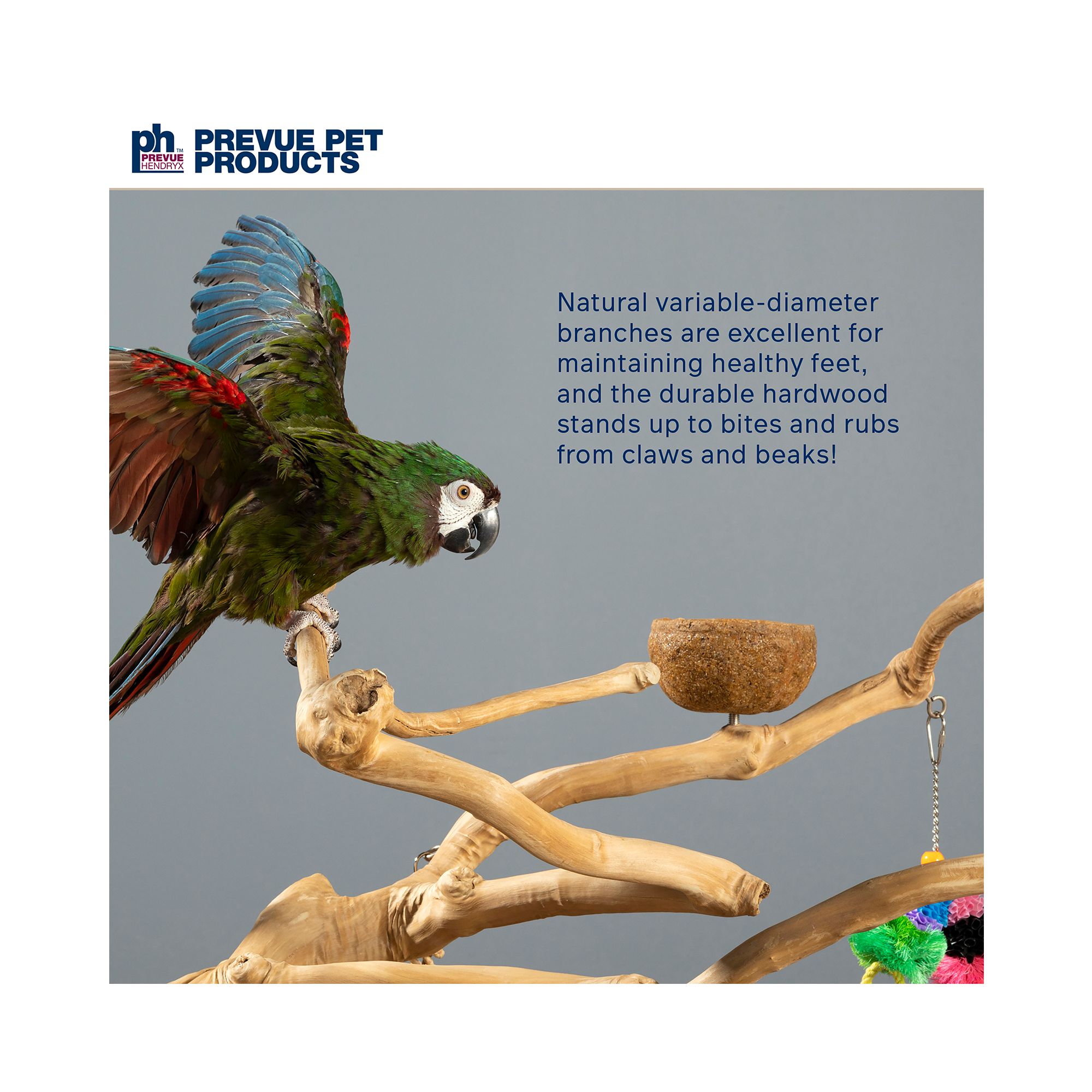 Prevue Pet Products Coffeawood Java Tree Medium Floor Playstand - Floor Pet Bird Playstand - thumbnail 4