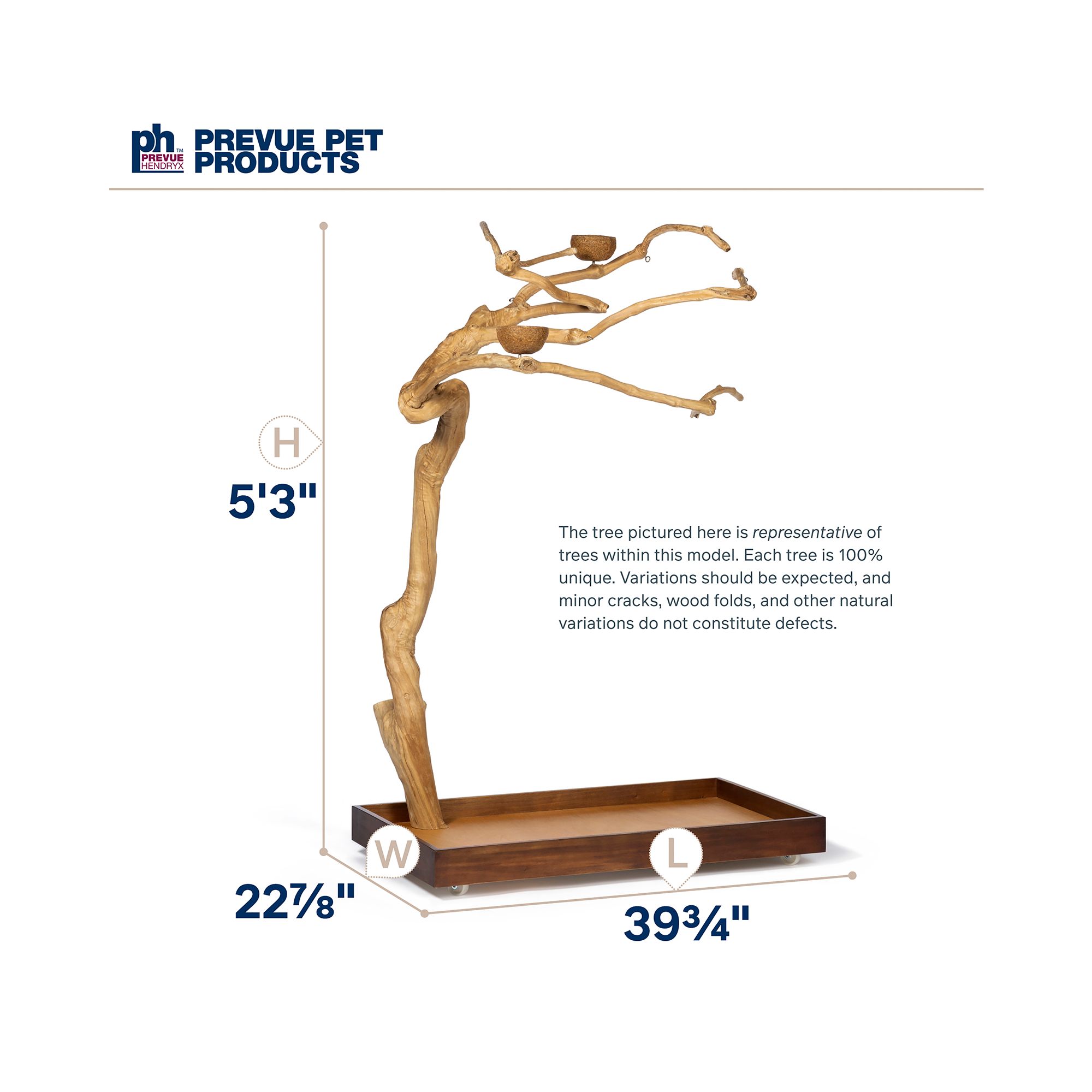 Prevue Pet Products Coffeawood Java Tree Medium Floor Playstand - Floor Pet Bird Playstand - thumbnail 5
