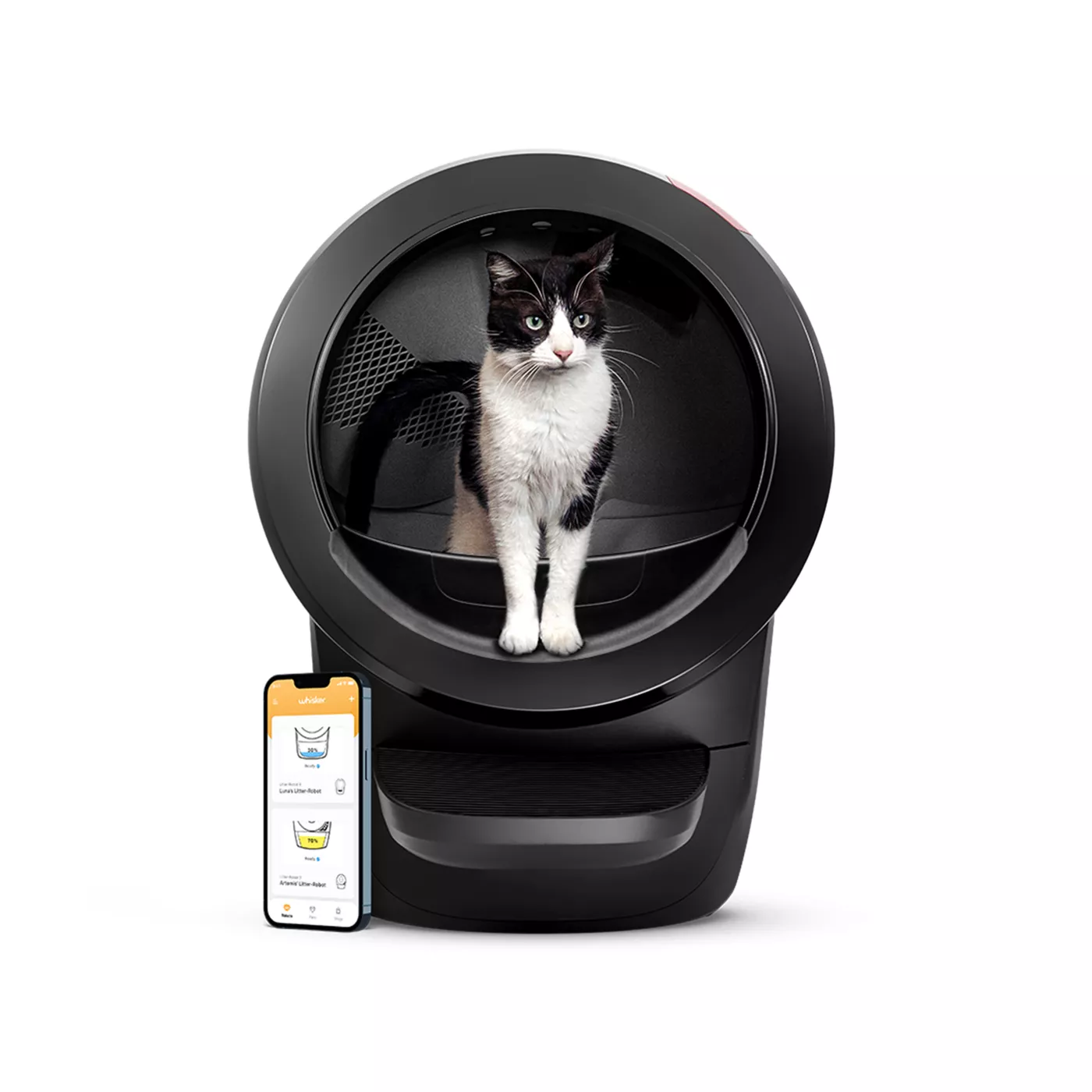 Automatic litter robot best sale