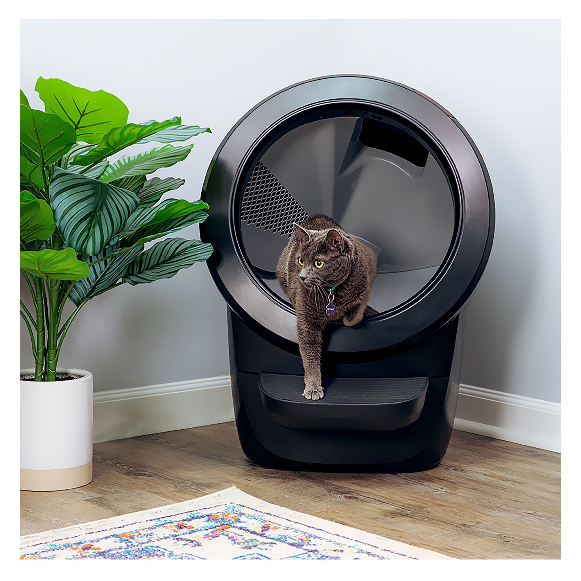 Litter Robot 4 Automatic Self Cleaning Cat Litter Box by Whisker