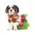 Rubie's Pet Shop Halloween Hula Girl Dog & Cat Costume image thumbnail 1