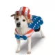 Product Rubie's Pet Shop Americana Uncle Sam Dog & Cat Costume