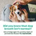 TropiClean® Fresh Breath® Dental Water Additive for Puppies, 8oz image thumbnail 8