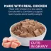 Authority Healthy Weight Chicken Entree Adult Dog Wet Food - 13 oz image thumbnail 3