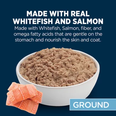 Product Authority Sensitive Stomach & Skin Whitefish & Salmon Entree Adult Wet Dog Food - 13 oz