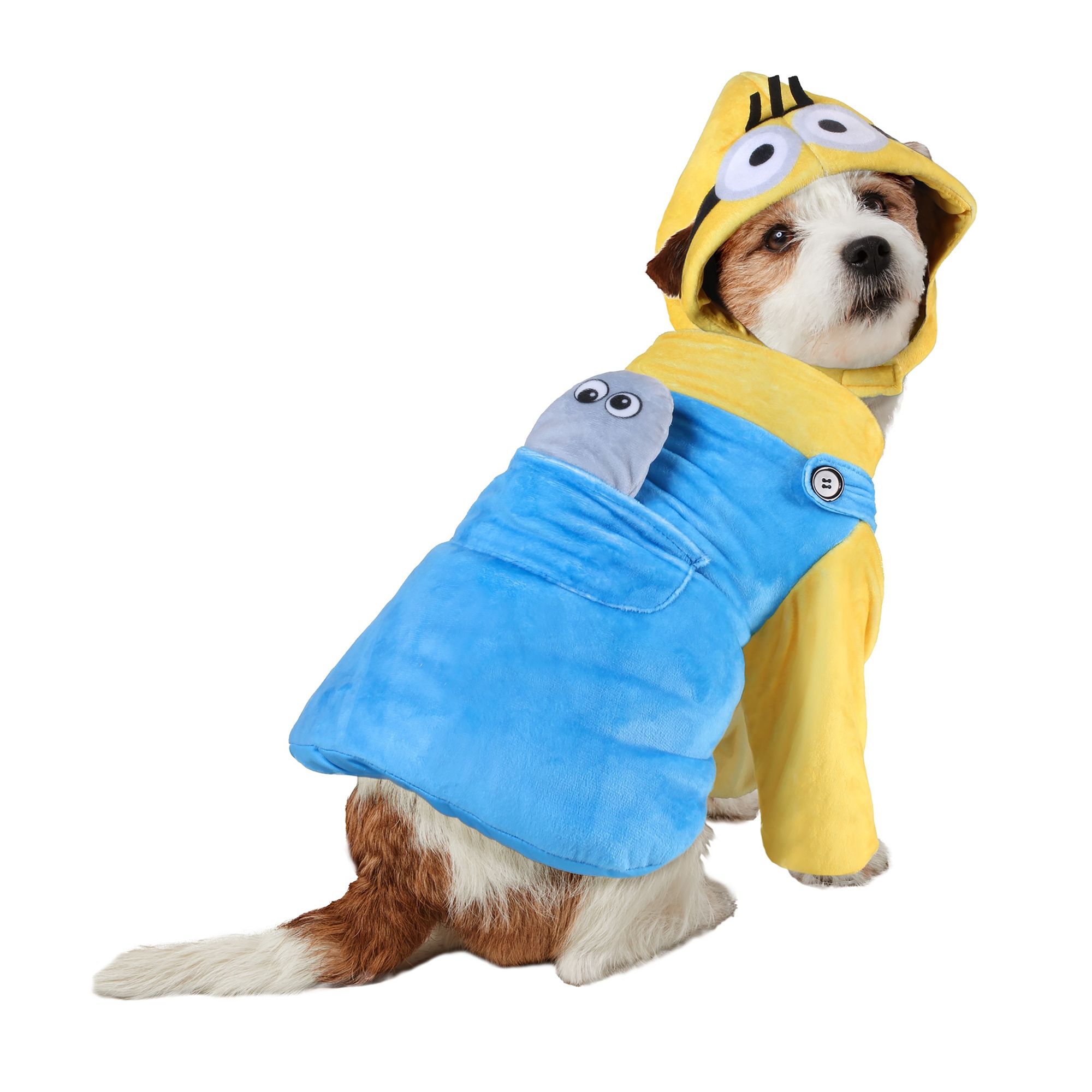 Rubie's Pet Shop Halloween Despicable Me Minions Otto Dog & Cat Costume ...