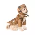 Rubie's Pet Shop Halloween T-Rex Dog & Cat Costume image thumbnail 1