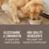 Simply Nourish Hip & Joint Recipe Adult Dog Food - Chicken, 10 OZ image thumbnail 3