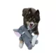 Product Hip Doggie Dogstar Toys Savanah the Elephant Plush Dog Toy