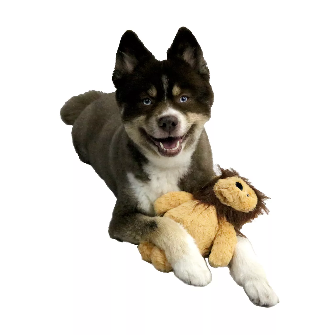 Lion fashion dog toy