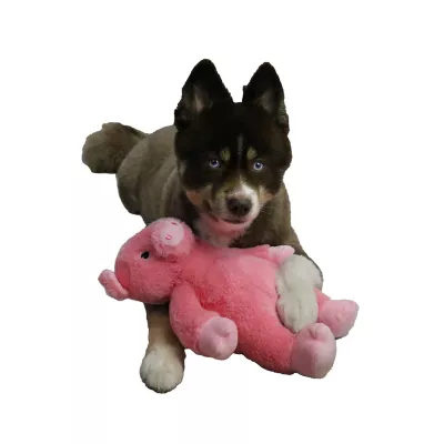 Hip Doggie Dogstar Toys Dalton the Pig Plush Dog Toy