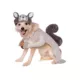 Product Rubie's Pet Shop Halloween Squirrel Dog & Cat Costume
