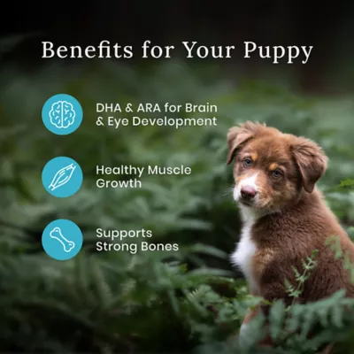 Product Blue Buffalo Wilderness Nature's Evolutionary Diet Puppy Dry Dog Food - Chicken