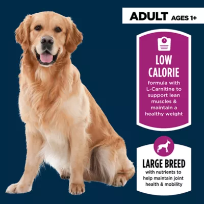 Product Authority Healthy Weight Large Breed Adult Dog Dry Food - Chicken & Rice, 34 lb