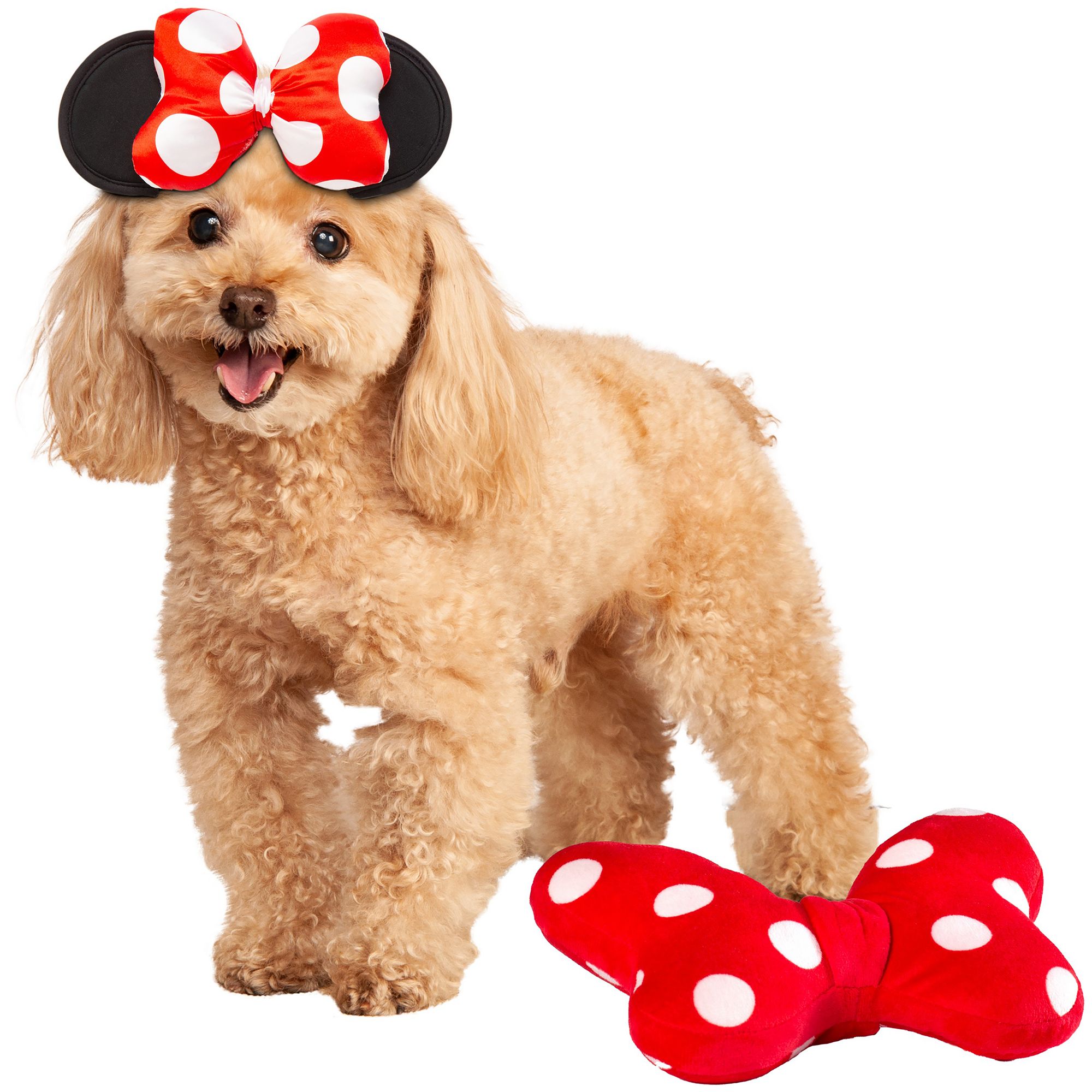 Minnie mouse dog outfit best sale