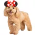 Rubie's Pet Shop Halloween Minnie Mouse Dog Headpiece & Toy Bundle image thumbnail 3