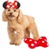Rubie's Pet Shop Halloween Minnie Mouse Dog Headpiece & Toy Bundle image thumbnail 1