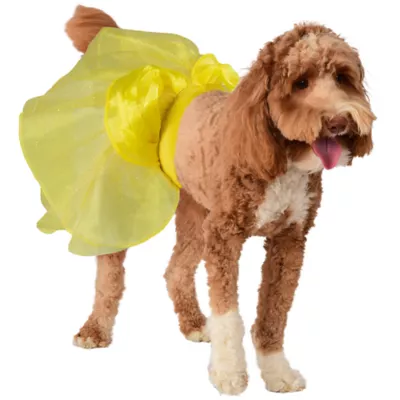 Product Rubie's Pet Shop Halloween Belle Dog Costume & Toy Bundle