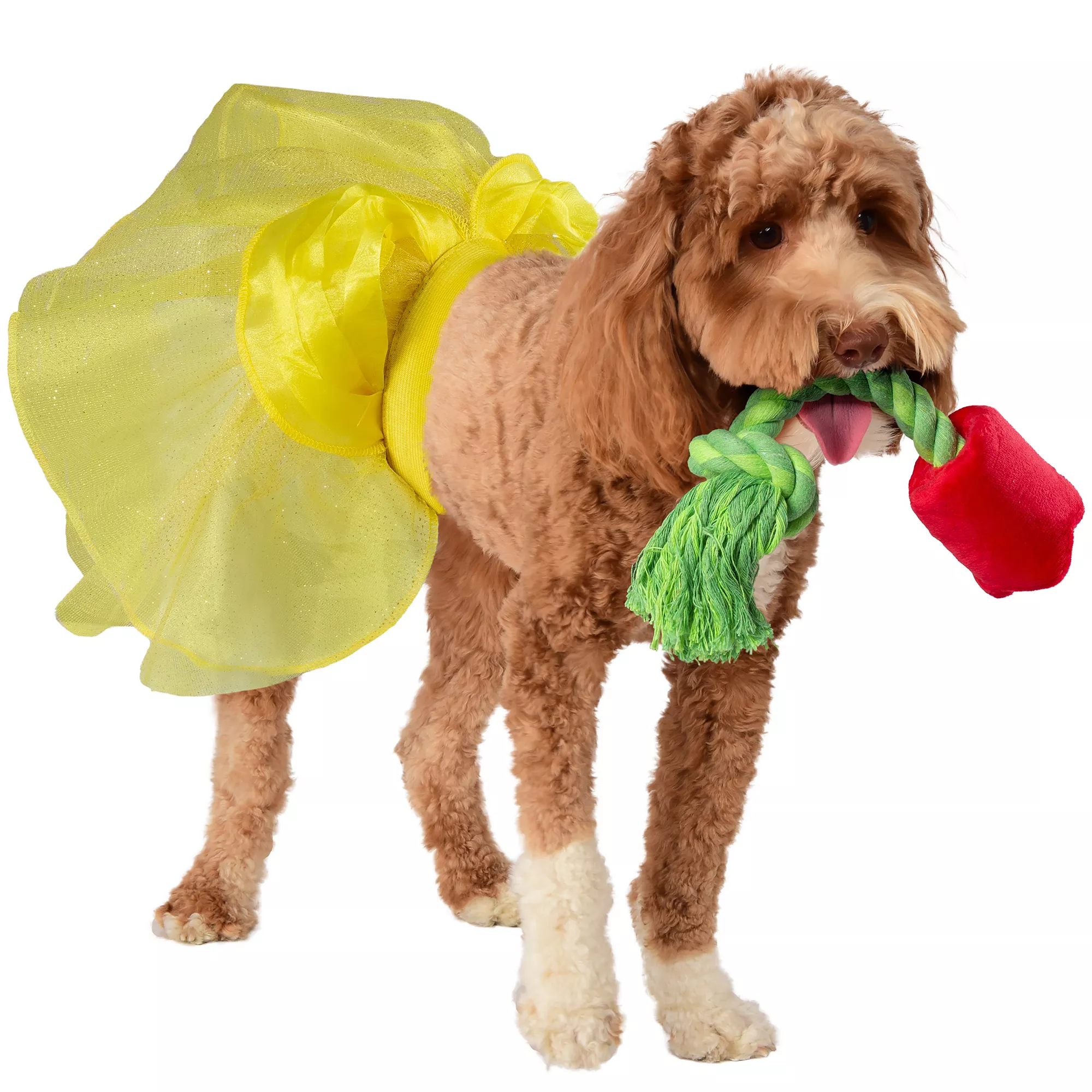 Rubie's Pet Shop Halloween Belle Dog Costume & Toy Bundle