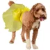 Rubie's Pet Shop Halloween Belle Dog Costume & Toy Bundle image thumbnail 3