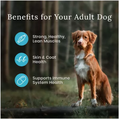 Product Blue Buffalo Wilderness Rocky Mountain Recipe Adult Dog Dry Food - Red Meat
