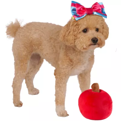 Product Rubie's Pet Shop Halloween Snow White Dog Headpiece & Toy Bundle