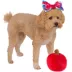 Rubie's Pet Shop Halloween Snow White Dog Headpiece & Toy Bundle image thumbnail 1