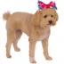 Rubie's Pet Shop Halloween Snow White Dog Headpiece & Toy Bundle image thumbnail 3