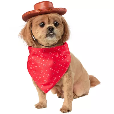 Product Rubie's Pet Shop Halloween Toy Story Woody Costume & Toy Bundle