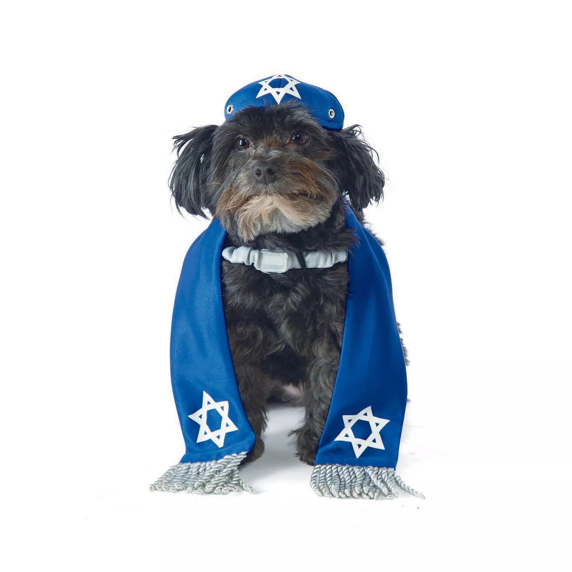 Rubie's Pet Shop Hanukkah Yarmulke and Tallis Dog & Cat Costume